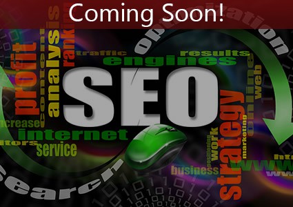 Coming Soon: Website Visibility 101